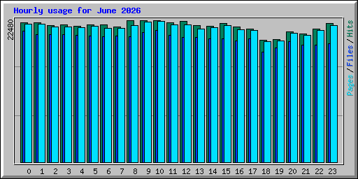 Hourly usage for June 2026